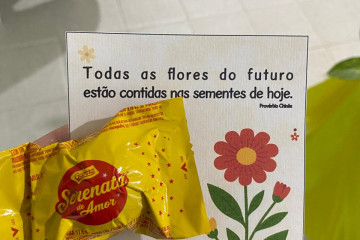 DISSEMINAÇÃO DOS RESULTADOS DO SABE 2024