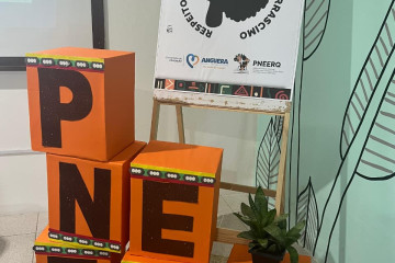 1ª REUNIÃO DO COMITÊ DA PNEERQ