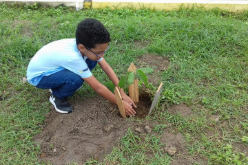 DIA DO MEIO AMBIENTE (ESCOLA ÉRICO SOFIA BRANDÃO)  